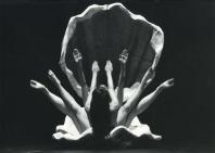 Venus envy par la Cie Momix, 1987