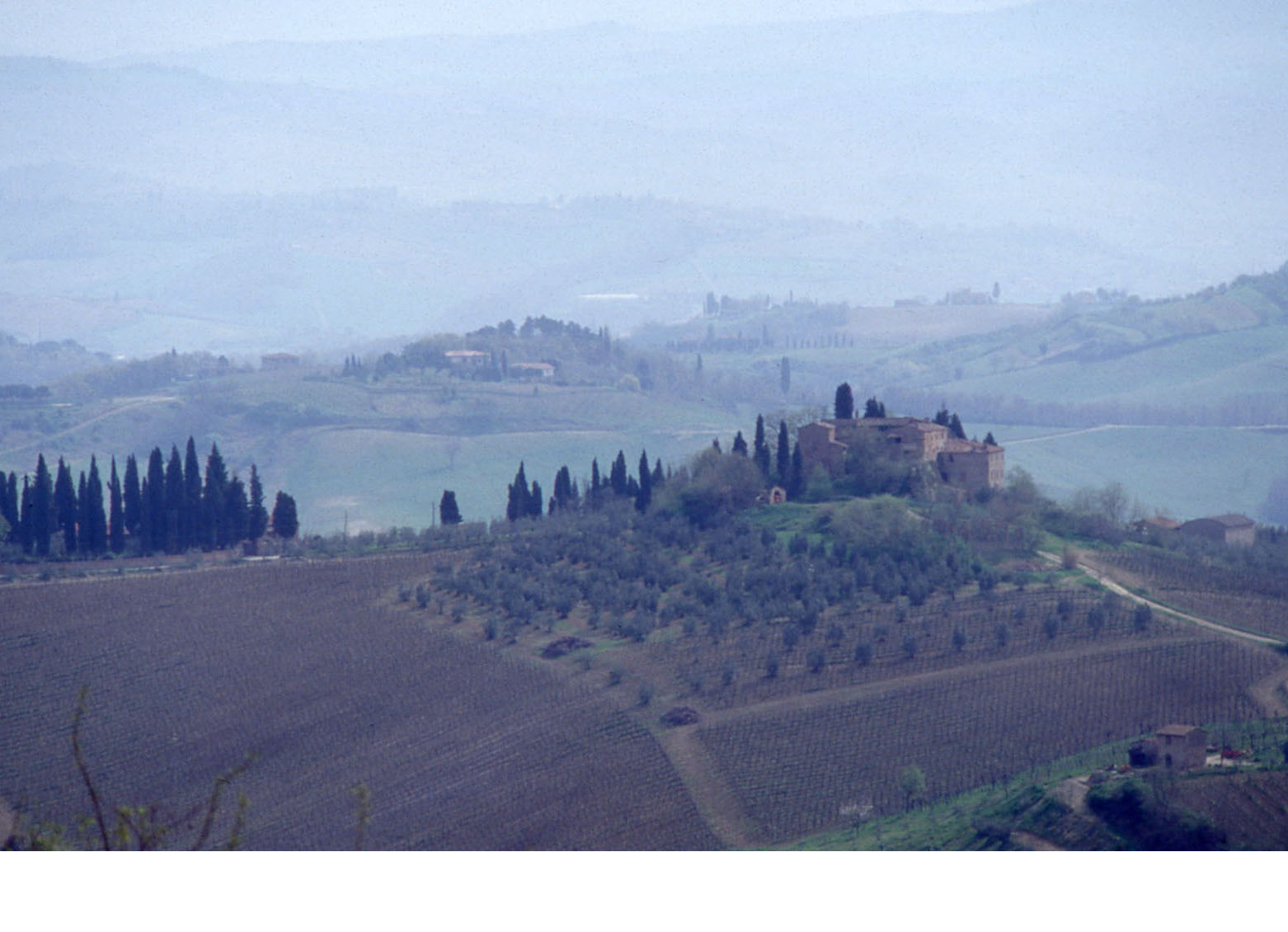 Paysage toscan vers San Gimignano - 1993